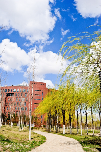 沈陽航空航天大學北方科技學院