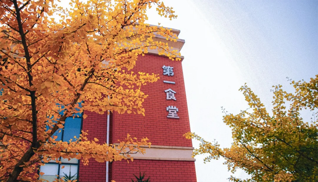 大連工業(yè)大學藝術與信息工程學院2025年招生章程