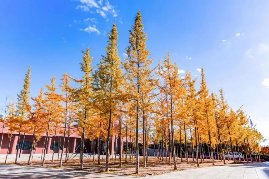大連科技學(xué)院