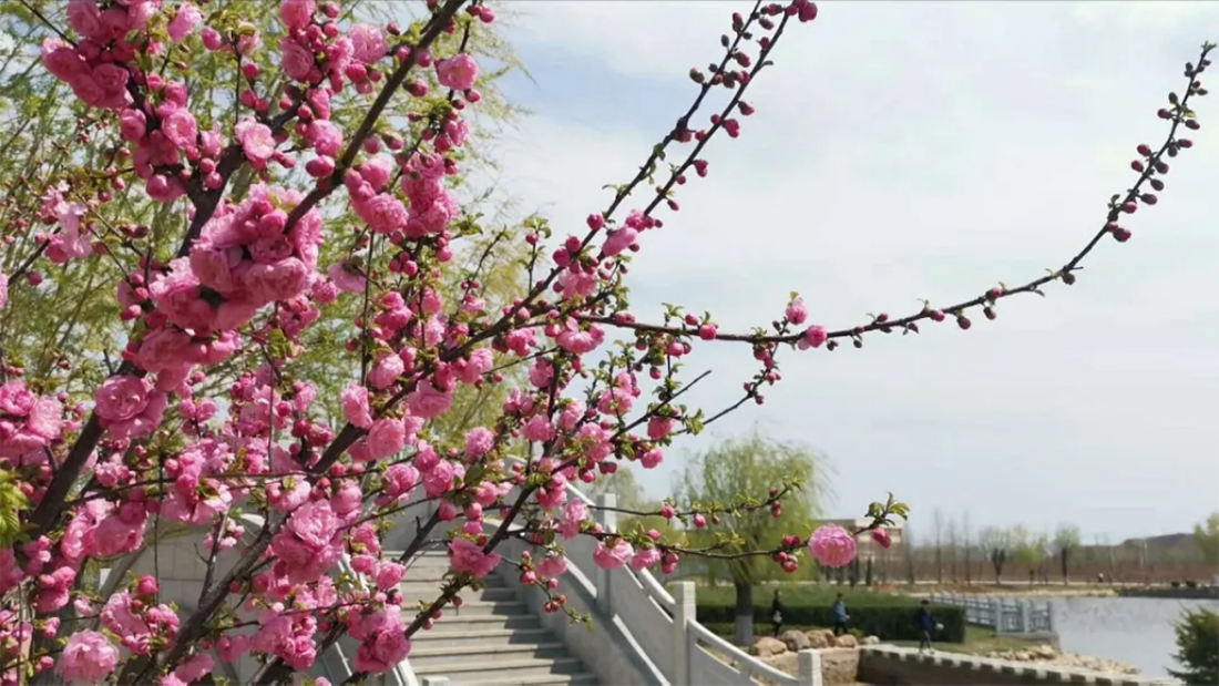 遼寧師范大學海華學院－2021年招生章程