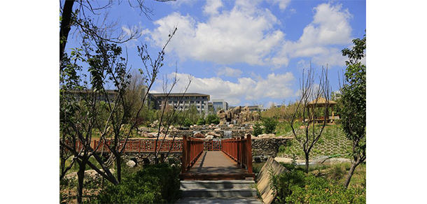 大連財經(jīng)學院