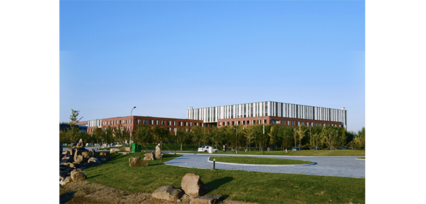 我的大學(xué)-大學(xué)志