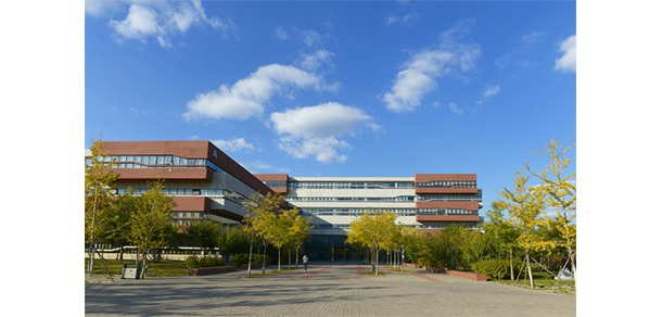 我的大學(xué)-大學(xué)志