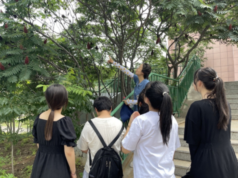 校園植物識(shí)別與統(tǒng)計(jì)