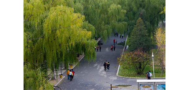 沈陽(yáng)職業(yè)技術(shù)學(xué)院 - 最美大學(xué)