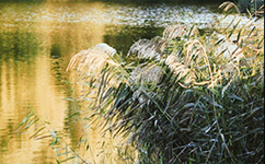 招生公告 · 招生簡章 · 招生計(jì)劃