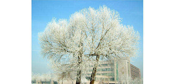 吉林師范大學 - 最美大學