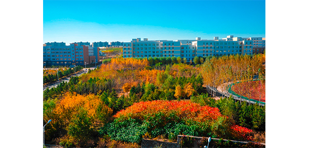 我的大學-大學志