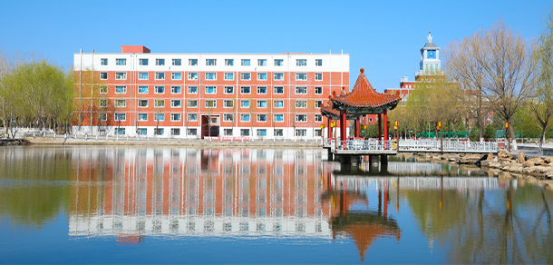 我的大學(xué)-大學(xué)志