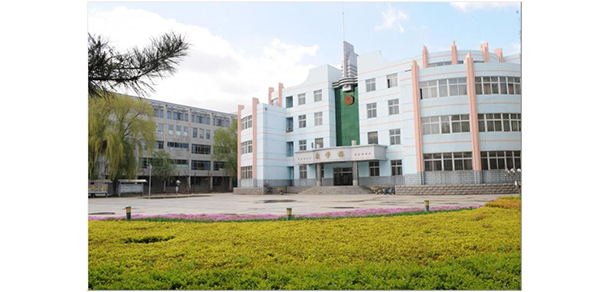 我的大學(xué)-大學(xué)志