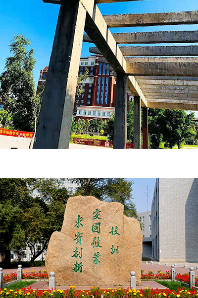 歲月流金 · 青春不散場