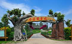 文化標(biāo)識(shí)：校名題寫(xiě) / ?；赵O(shè)計(jì)