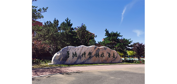 我的大學-大學志