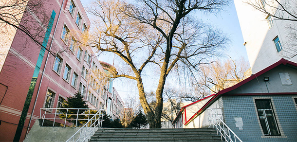我的大學-大學志