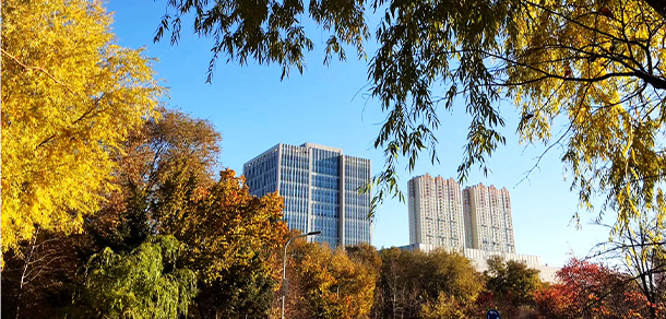 我的大學(xué)-大學(xué)志