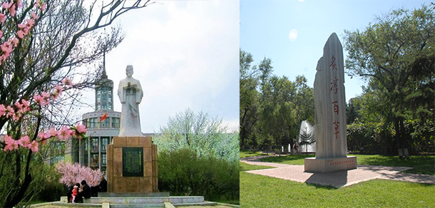 我的大學(xué)-大學(xué)志
