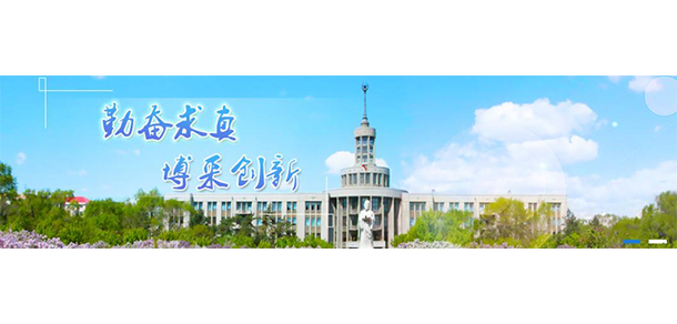 我的大學(xué)-大學(xué)志