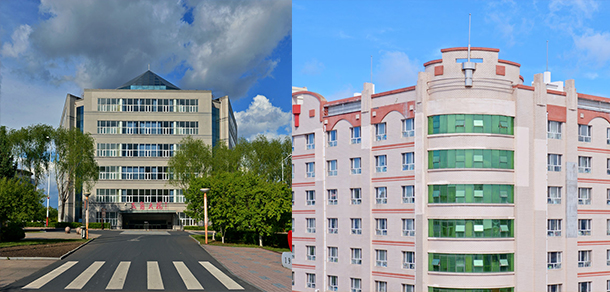 我的大學(xué)-大學(xué)志
