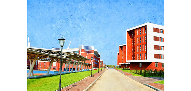 我的大學-大學志