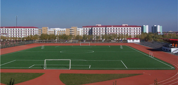 我的大學-大學志