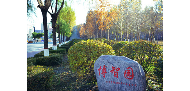 我的大學-大學志