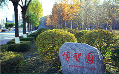 文化標識：校名題寫 / 校徽設(shè)計