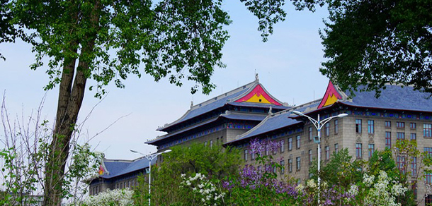 我的大學(xué)-大學(xué)志