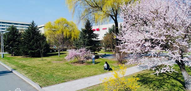 東北農業(yè)大學