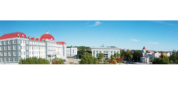 我的大學(xué)-大學(xué)志