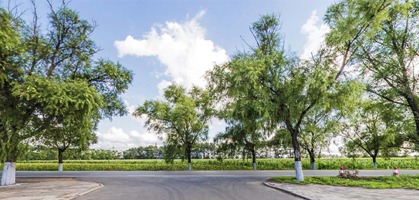 哈爾濱傳媒職業(yè)學院 - 最美大學