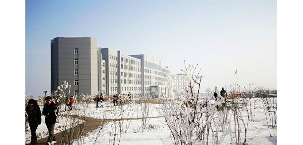 我的大學(xué)-大學(xué)志