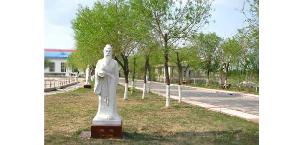 大慶醫(yī)學(xué)高等?？茖W(xué)校