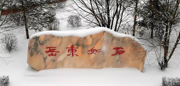 我的大學-大學志