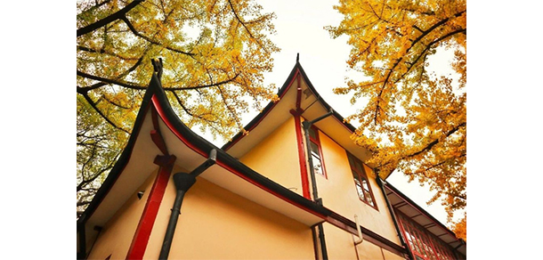 華東政法大學 - 最美大學