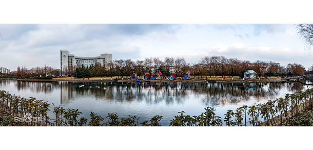 我的大學(xué)-大學(xué)志