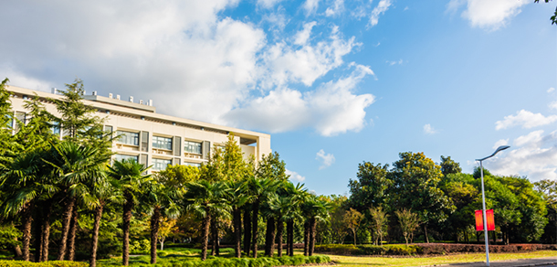 我的大學(xué)-大學(xué)志