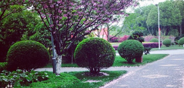 上海師范大學天華學院 - 最美大學