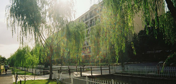 上海師范大學天華學院 - 最美大學